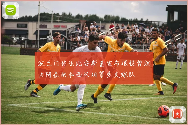 波兰门将法比安斯基宣布退役曾效力阿森纳和西汉姆等多支球队