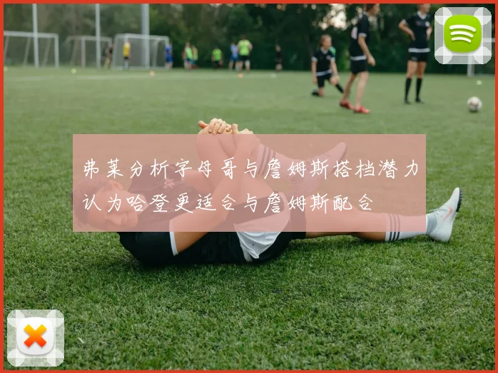 弗莱分析字母哥与詹姆斯搭档潜力认为哈登更适合与詹姆斯配合
